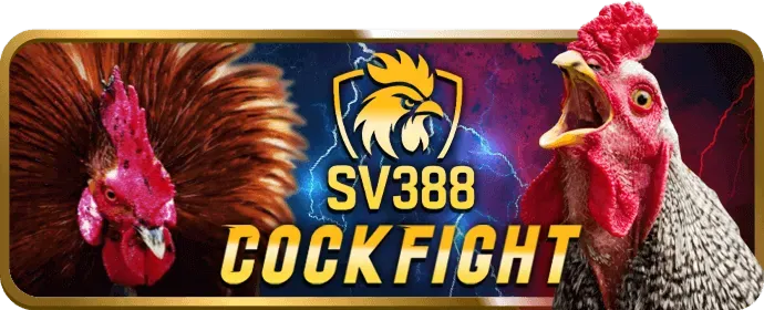 Thưởng nạp lại hàng ngày/tuần tại 678win