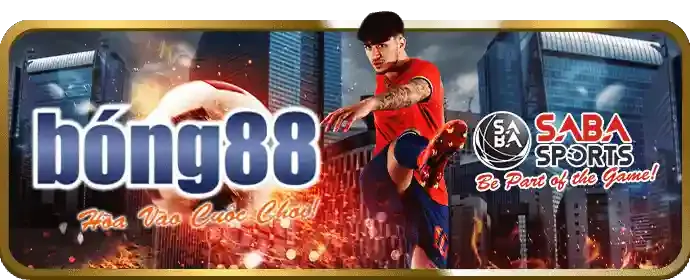 Mạng lưới hỗ trợ chuyên nghiệp về cờ bạc