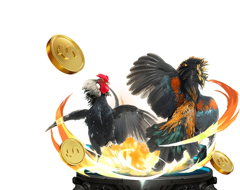 Hoàn trả thể thao và casino 678win